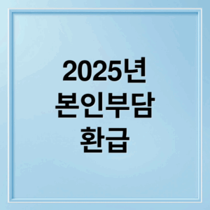 2025년 본인부담 환급 (본인부담상한제 환급 2025)